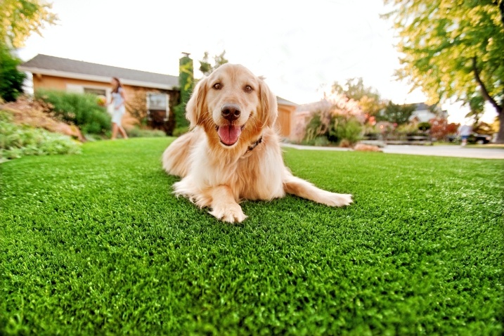 Gazon artificiel profi